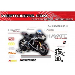 Adhesivos Moto Hayate Kawasaki MotoGP 2009