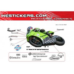 Kit Adesivi moto Kawasaki MotoGP 2003