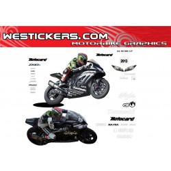 Race stickers kit Kawasaki SBK 2013 test
